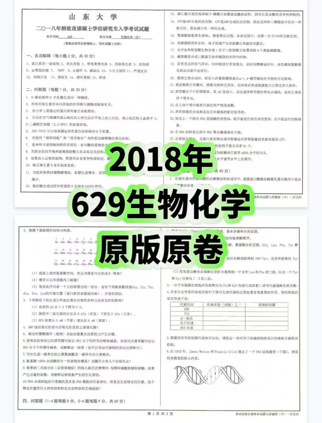 山东大学生物化学考研真题338or629-第4张图片-四季读书网 山东大学生物化学考研真题338or629-第4张图片-四季读书网