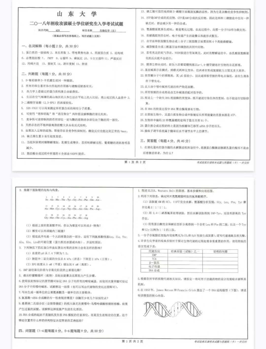 山东大学生物化学考研真题338or629-第6张图片-四季读书网 山东大学生物化学考研真题338or629-第6张图片-四季读书网