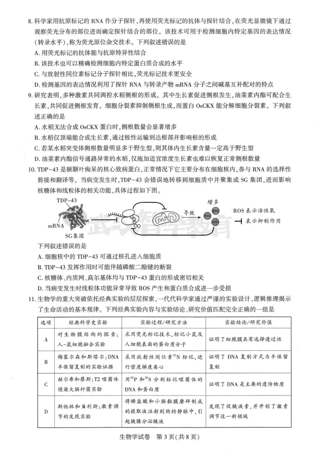 2027届湖北省高三8月圆创联盟全科试卷答案合集速领-第131张图片-四季读书网 2027届湖北省高三8月圆创联盟全科试卷答案合集速领-第131张图片-四季读书网