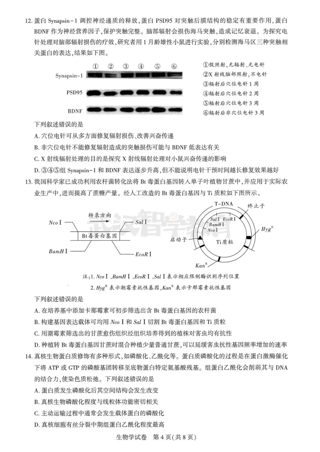 2027届湖北省高三8月圆创联盟全科试卷答案合集速领-第132张图片-四季读书网 2027届湖北省高三8月圆创联盟全科试卷答案合集速领-第132张图片-四季读书网