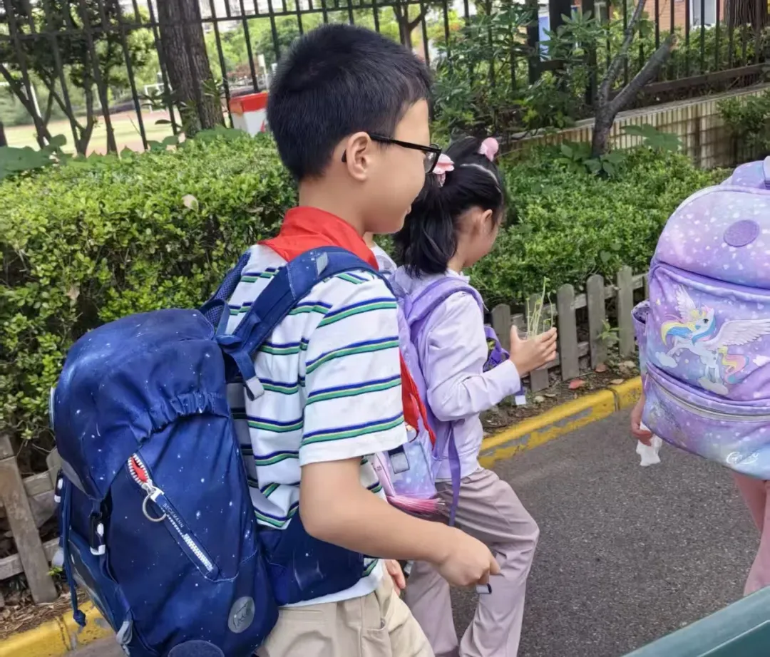 小托福还没考,儿子因为模考先哭了一场......-第5张图片-四季读书网 小托福还没考,儿子因为模考先哭了一场......-第5张图片-四季读书网