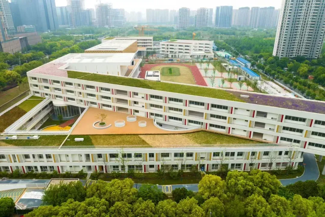 重磅!免中考!南京首个12年一贯制公办学校来了-第2张图片-四季读书网