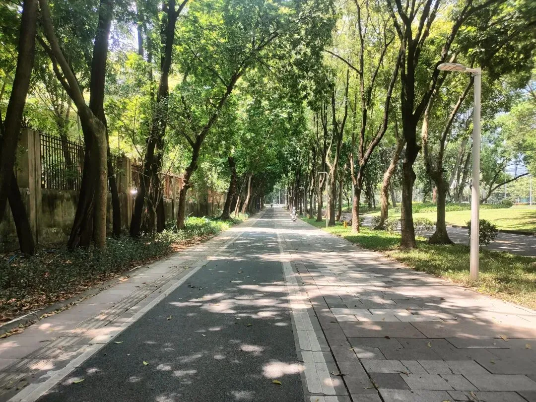 东莞中考公办高中录取率不足38%:2027年11万人挤680分赛道,每一分背后都站着一个团的考生-第1张图片-四季读书网