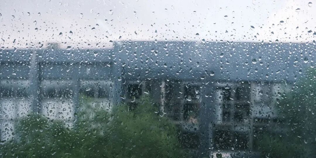 暑期第六周模拟考试通知!| 乔东书院·2027全程班书法考研集训营-第25张图片-四季读书网