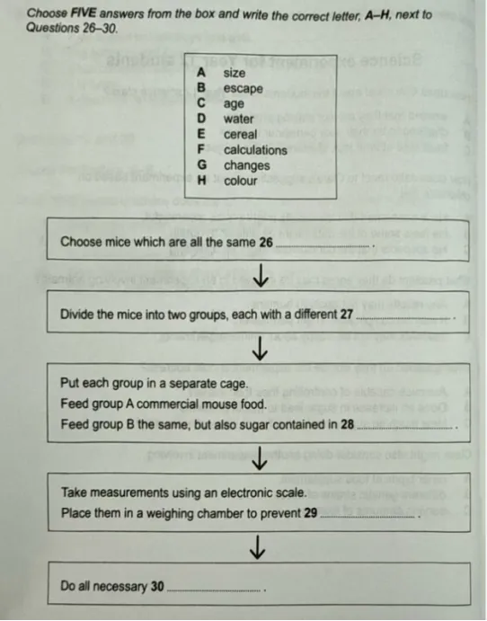 雅思听力 Part3 真题拆解|科学实验全套解析-第3张图片-四季读书网