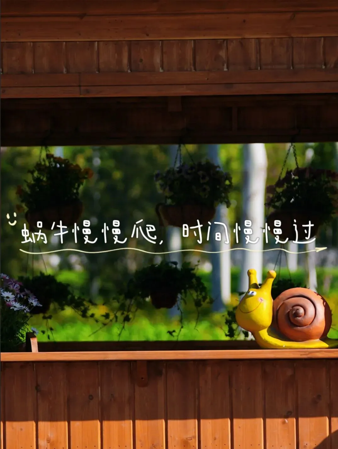 中考两天陪考记-写于2026年6月25日-第1张图片-四季读书网