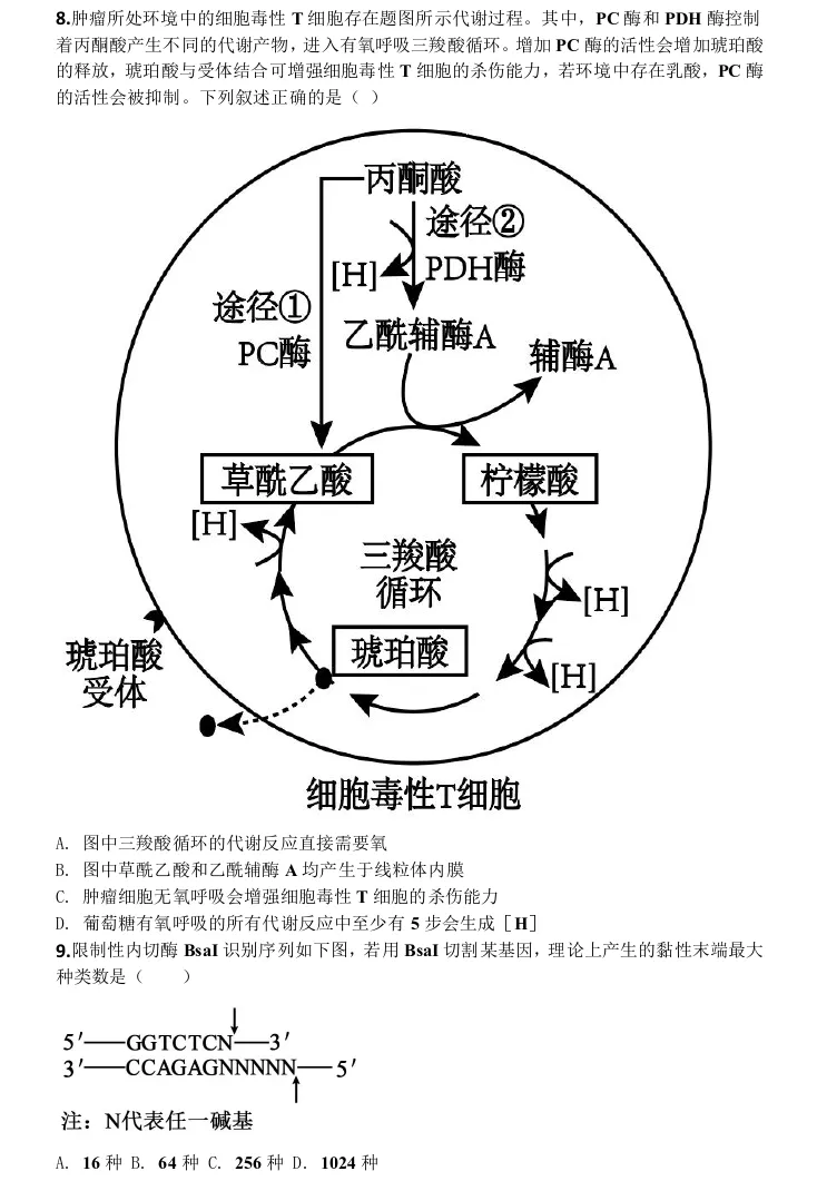 贵阳市2027届高三8月第一次适应性模拟考试生物学试题及参考答案-第6张图片-四季读书网 贵阳市2027届高三8月第一次适应性模拟考试生物学试题及参考答案-第6张图片-四季读书网