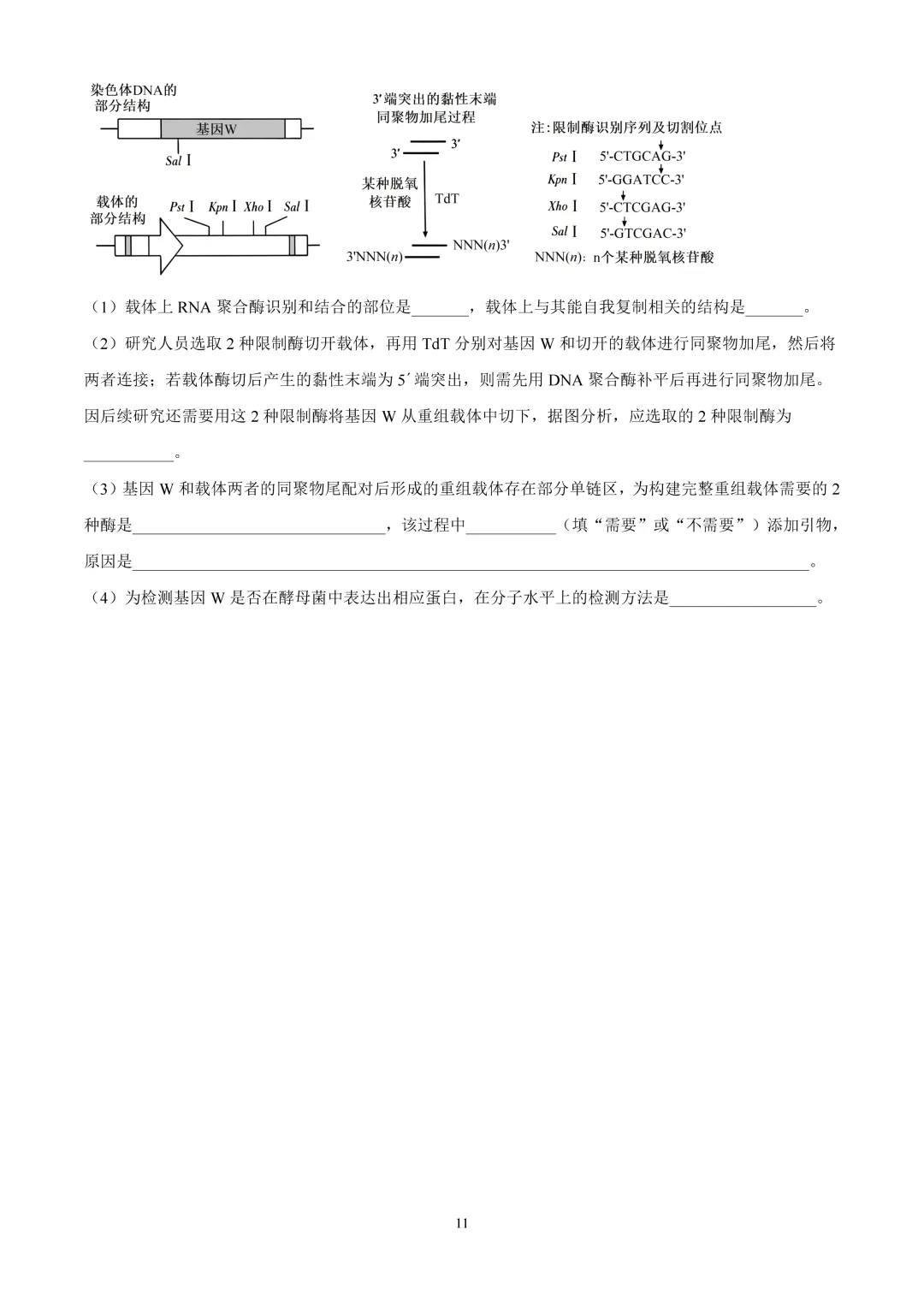 2026年山东高考真题及官方答案(9科全)-第237张图片-四季读书网 2026年山东高考真题及官方答案(9科全)-第237张图片-四季读书网