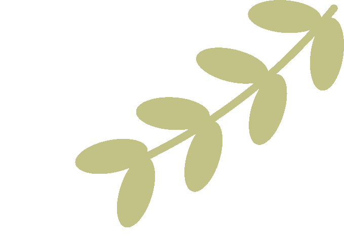 中考高分作文分享3:给成长作文加点温情-第14张图片-四季读书网 中考高分作文分享3:给成长作文加点温情-第14张图片-四季读书网