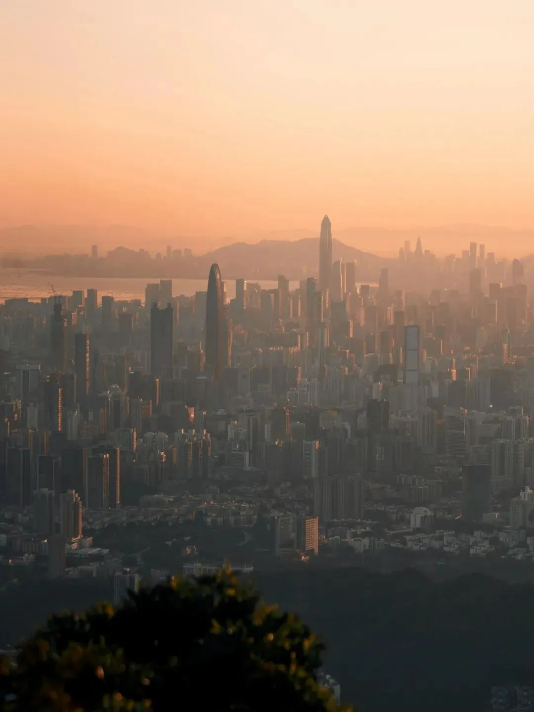 2027 深圳中考英语|开学第一考英语,到底在考什么?-第5张图片-四季读书网