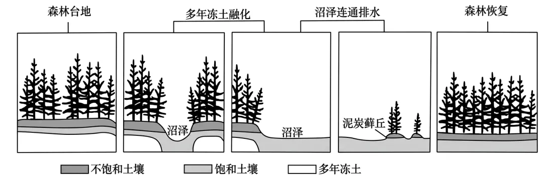 2026年河南省高考地理真题完全解读-第31张图片-四季读书网 2026年河南省高考地理真题完全解读-第31张图片-四季读书网