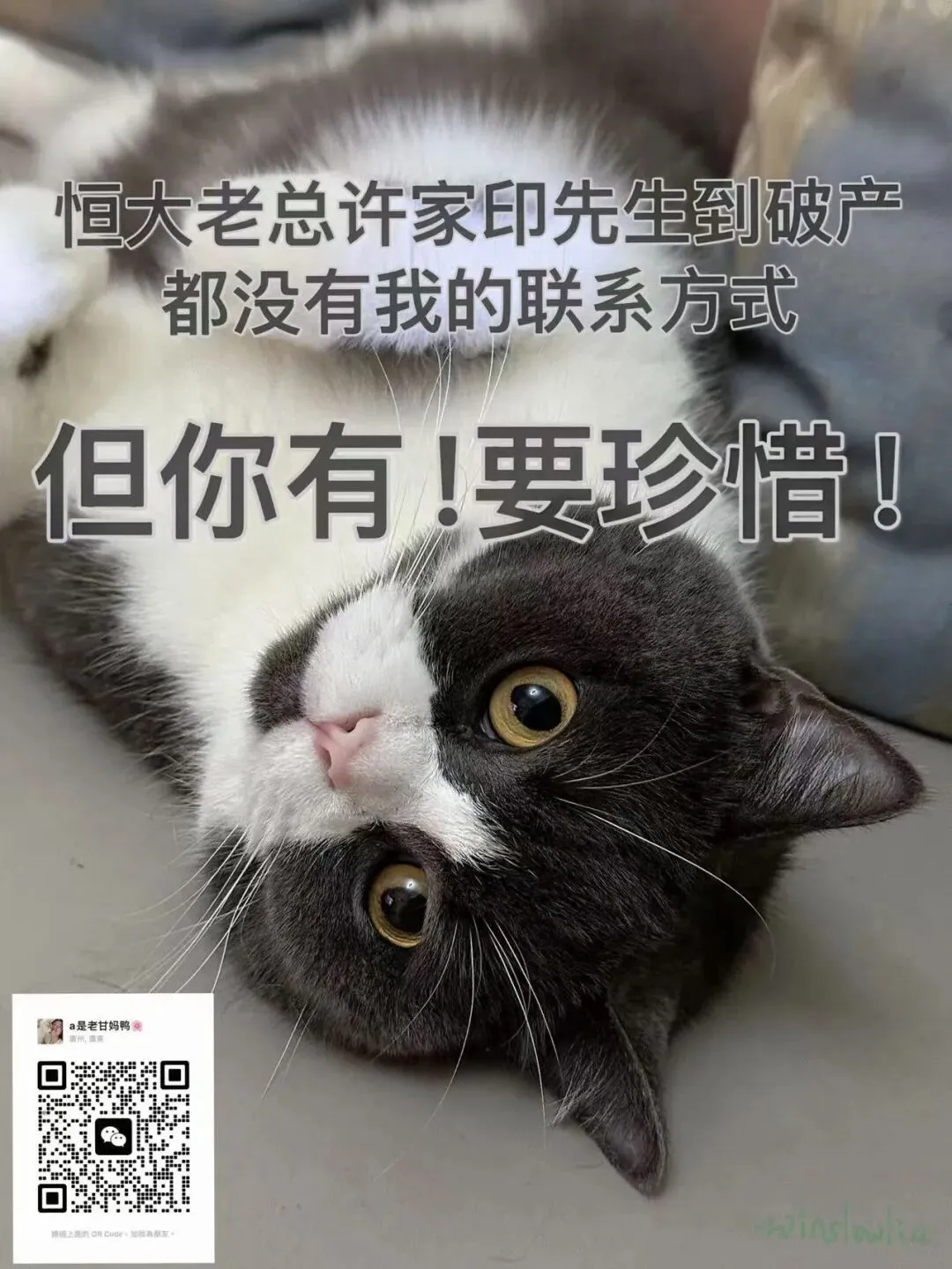 新中考全面改革,27届中考生认准这4个核心方向-第3张图片-四季读书网 新中考全面改革,27届中考生认准这4个核心方向-第3张图片-四季读书网
