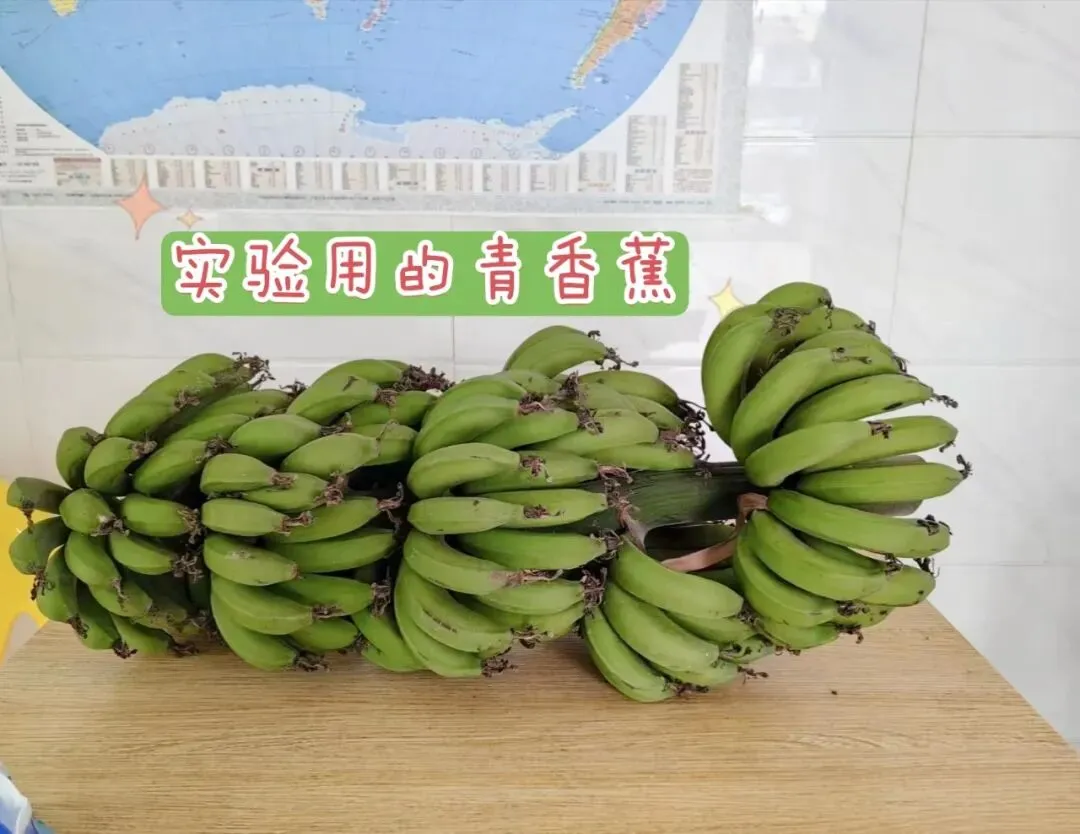 是什么让两个中考状元爱上了生物?这让我觉得自己是一个灵魂发光的人-第5张图片-四季读书网