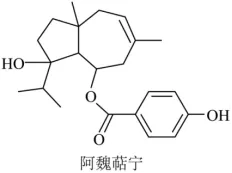 【每日一题】2024年山东高考化学真题T8-第1张图片-四季读书网