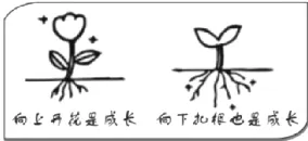 2026北京道德与法治中考真题及参考答案-第1张图片-四季读书网 2026北京道德与法治中考真题及参考答案-第1张图片-四季读书网