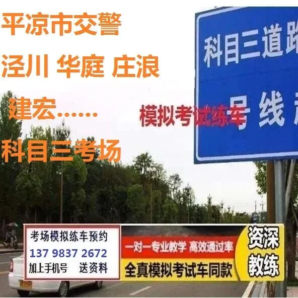 平凉市东方科目三考场考试视频专业讲解模拟练车教程路线图教学-第10张图片-四季读书网