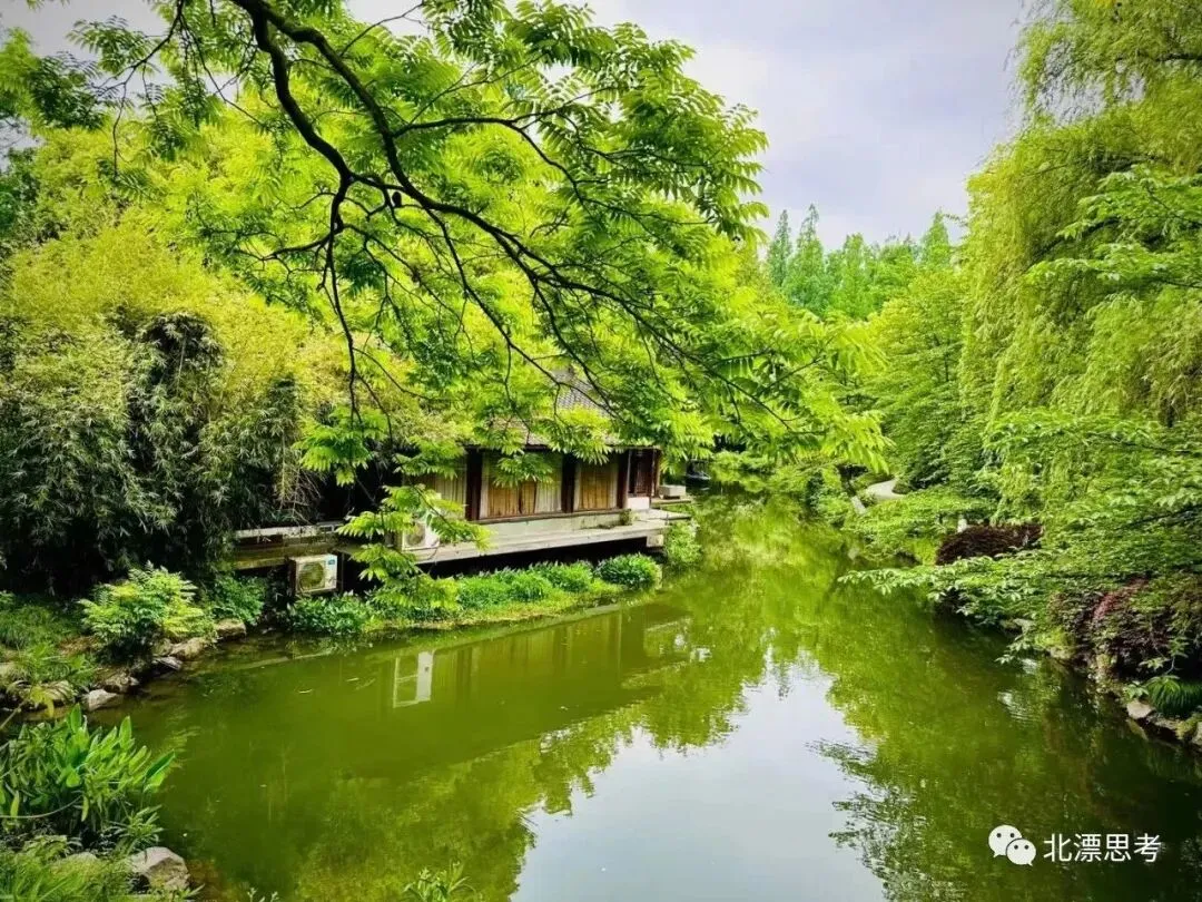 那个中考全县第一的女孩,没考上清北,却活成了最不慌张的样子-第2张图片-四季读书网