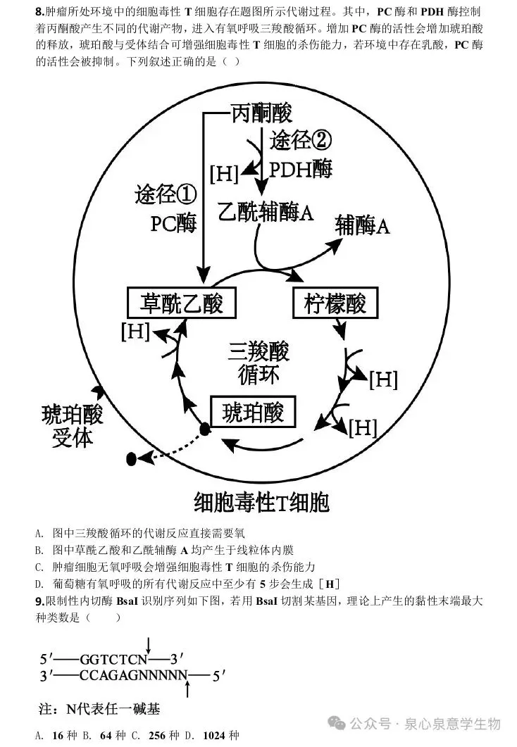 贵阳市2027届高三8月第一次适应性模拟考试生物学试题-第4张图片-四季读书网