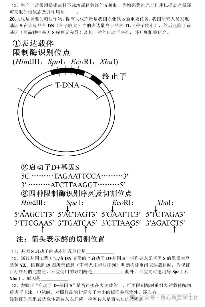 贵阳市2027届高三8月第一次适应性模拟考试生物学试题-第9张图片-四季读书网