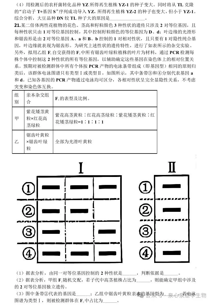 贵阳市2027届高三8月第一次适应性模拟考试生物学试题-第10张图片-四季读书网
