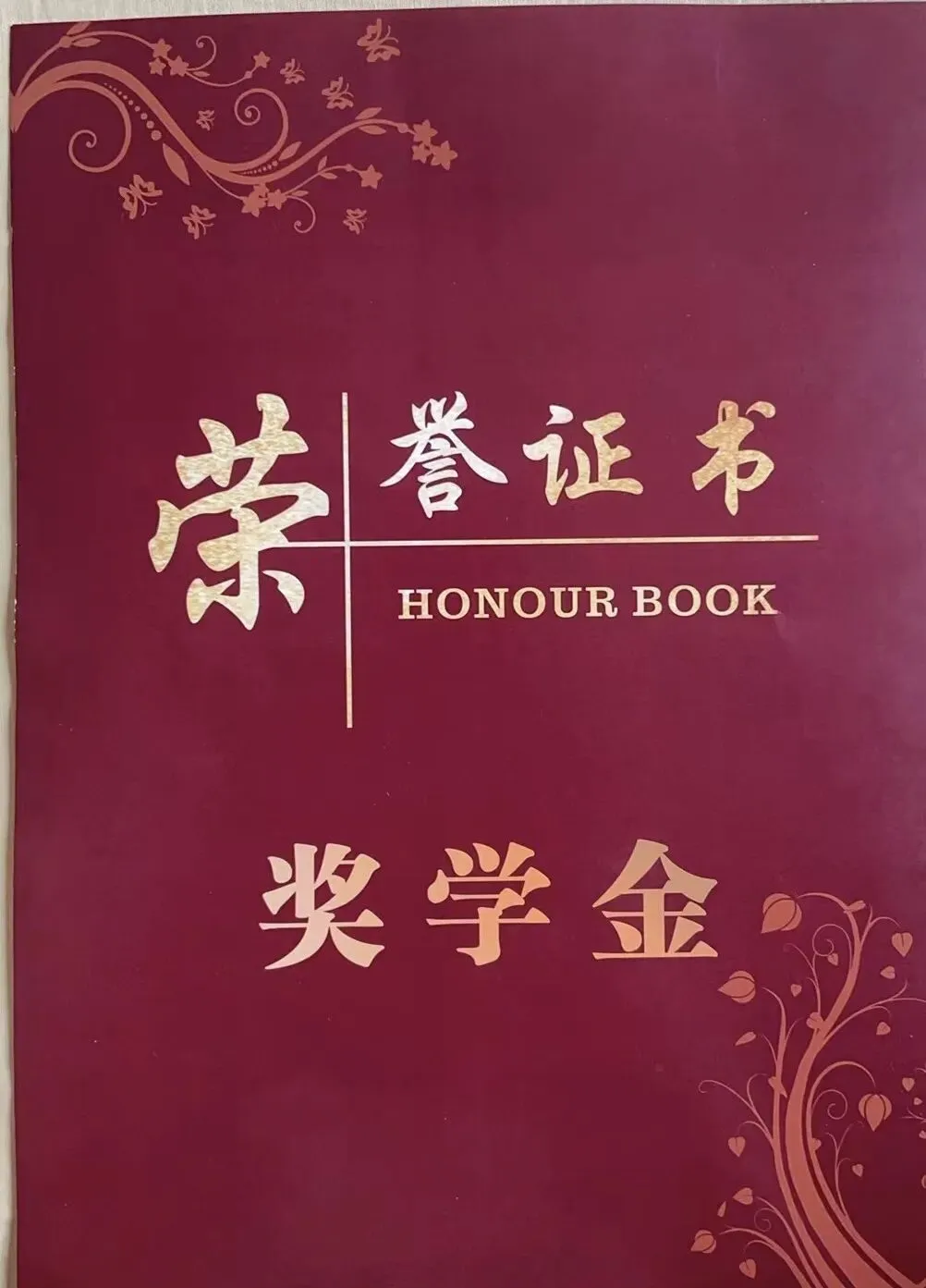 中考结束,我去了趟香港,有些目标,得先看见才会真的相信.-第35张图片-四季读书网