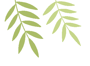 准初三的这个暑假,决定你2027年中考的起点!-第7张图片-四季读书网 准初三的这个暑假,决定你2027年中考的起点!-第7张图片-四季读书网
