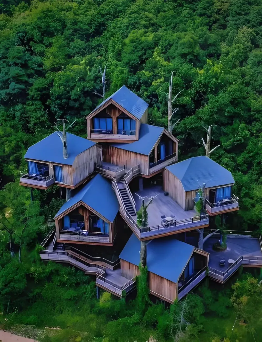 中考落幕|莫干山一场雨后旅行:最好的教育,藏在烟火细碎里-第2张图片-四季读书网 中考落幕|莫干山一场雨后旅行:最好的教育,藏在烟火细碎里-第2张图片-四季读书网
