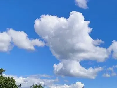 中考满分作文:《在幸福的天空飞翔》-第2张图片-四季读书网