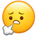 中考1600词【每天10分钟】必背新课标小词典-第68张图片-四季读书网 中考1600词【每天10分钟】必背新课标小词典-第68张图片-四季读书网