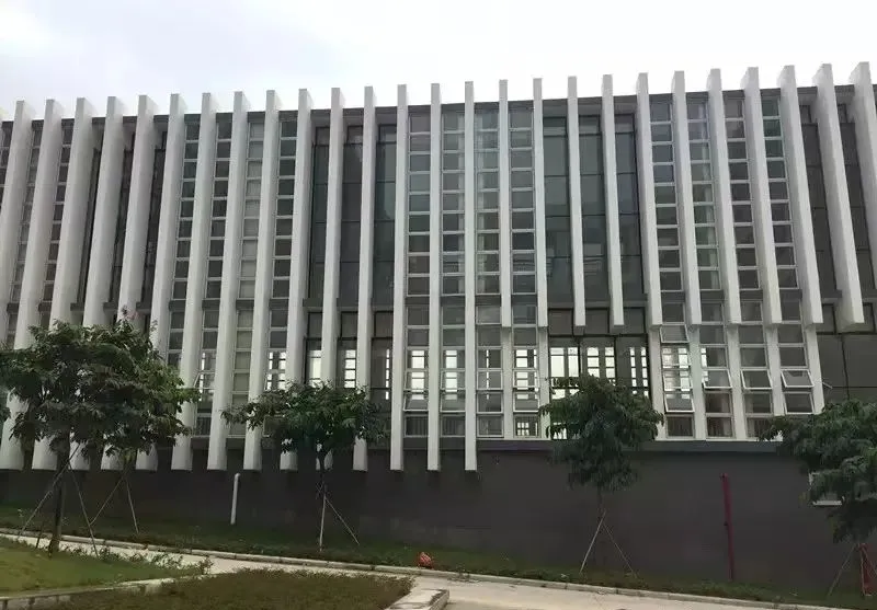 名校系列 丨金广附:怎么样才能蝉联广州中考六连冠?一文带你玩转JGF-第6张图片-四季读书网 名校系列 丨金广附:怎么样才能蝉联广州中考六连冠?一文带你玩转JGF-第6张图片-四季读书网