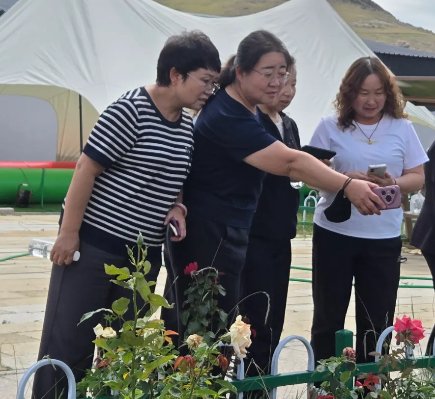 四子王旗妇联“美丽庭院”迎来“年中考” 高台新村庭院经济见实效-第2张图片-四季读书网