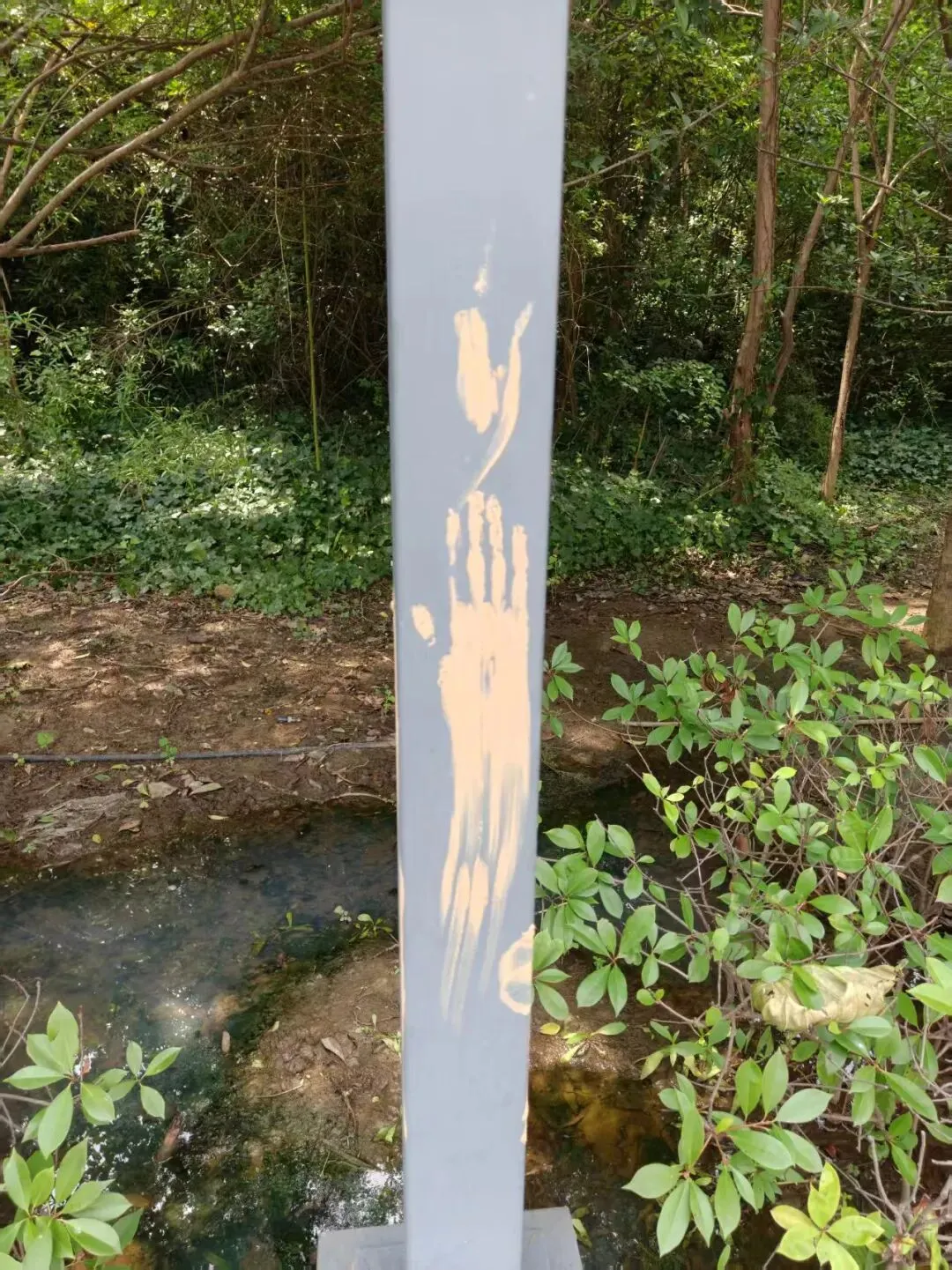 【高执】23年高级执法资格真题试炼及模拟题巩固(29):道交法-第1张图片-四季读书网 【高执】23年高级执法资格真题试炼及模拟题巩固(29):道交法-第1张图片-四季读书网
