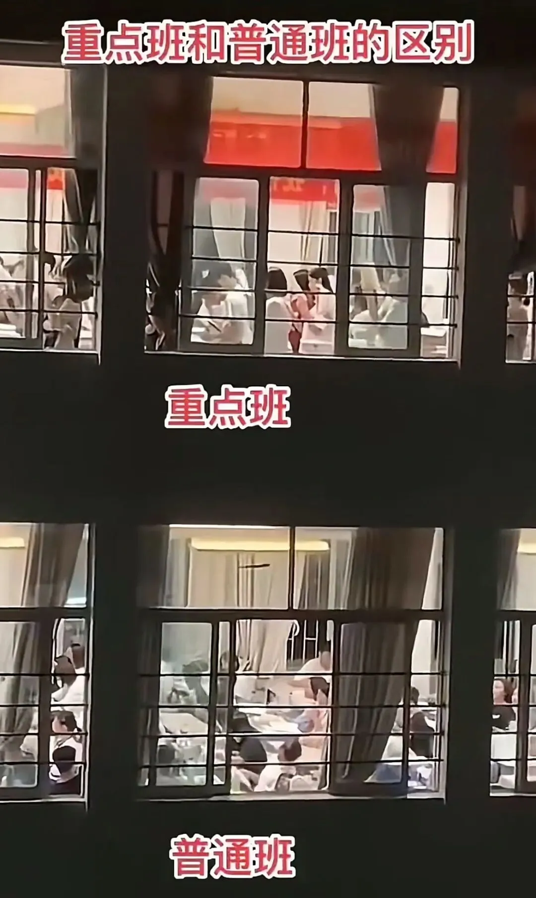 中考择校|宁做重点高中凤尾,不做普高鸡头?真相在这里-第2张图片-四季读书网