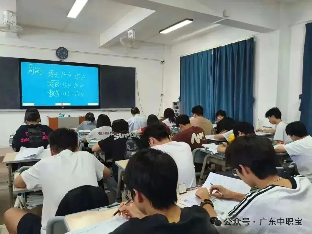 @2027届考生,免费领3+证书真题资料包!-第31张图片-四季读书网 @2027届考生,免费领3+证书真题资料包!-第31张图片-四季读书网
