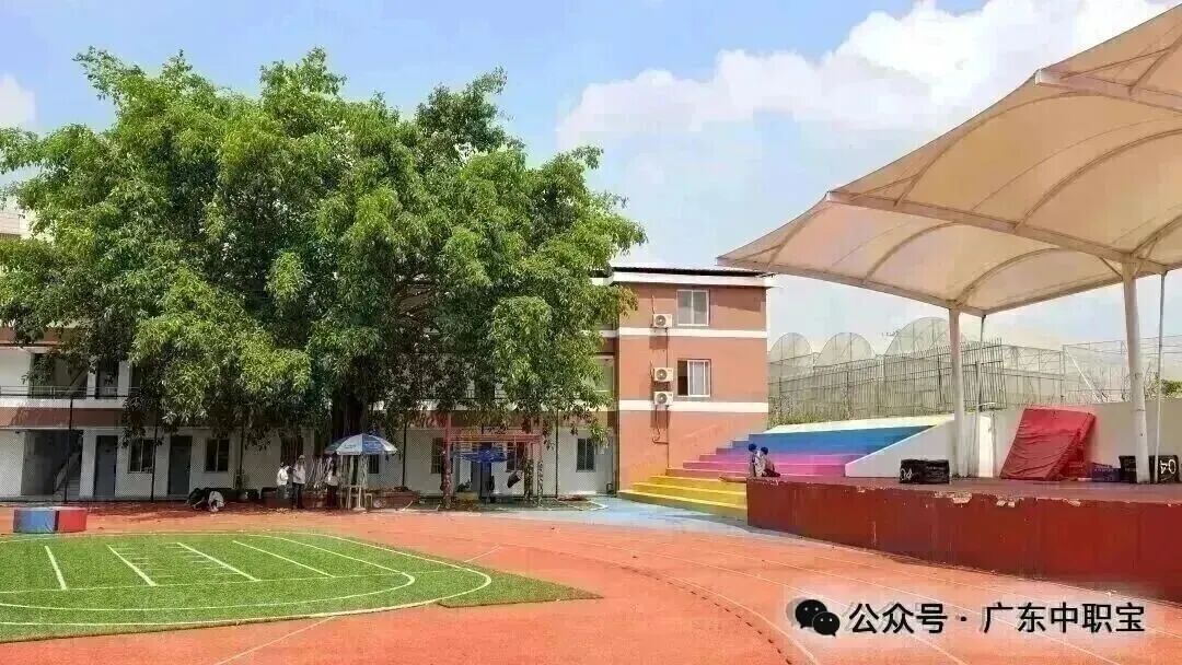 @2027届考生,免费领3+证书真题资料包!-第35张图片-四季读书网 @2027届考生,免费领3+证书真题资料包!-第35张图片-四季读书网