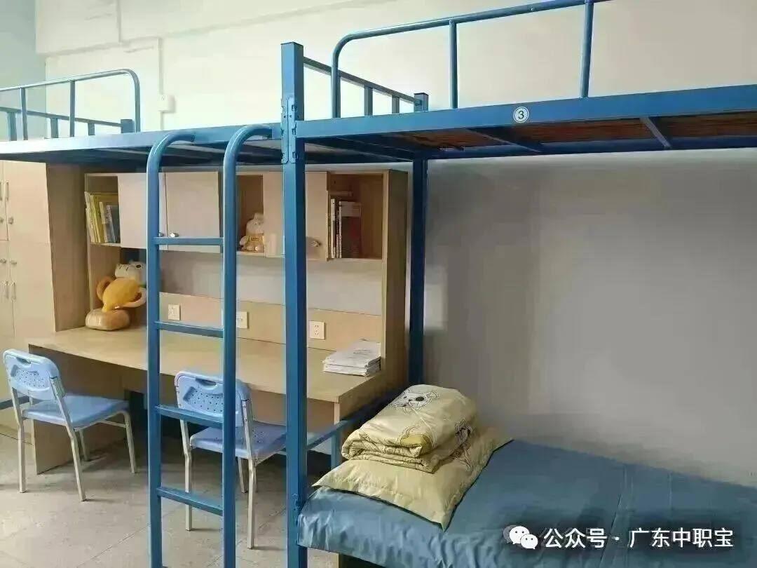 @2027届考生,免费领3+证书真题资料包!-第41张图片-四季读书网 @2027届考生,免费领3+证书真题资料包!-第41张图片-四季读书网