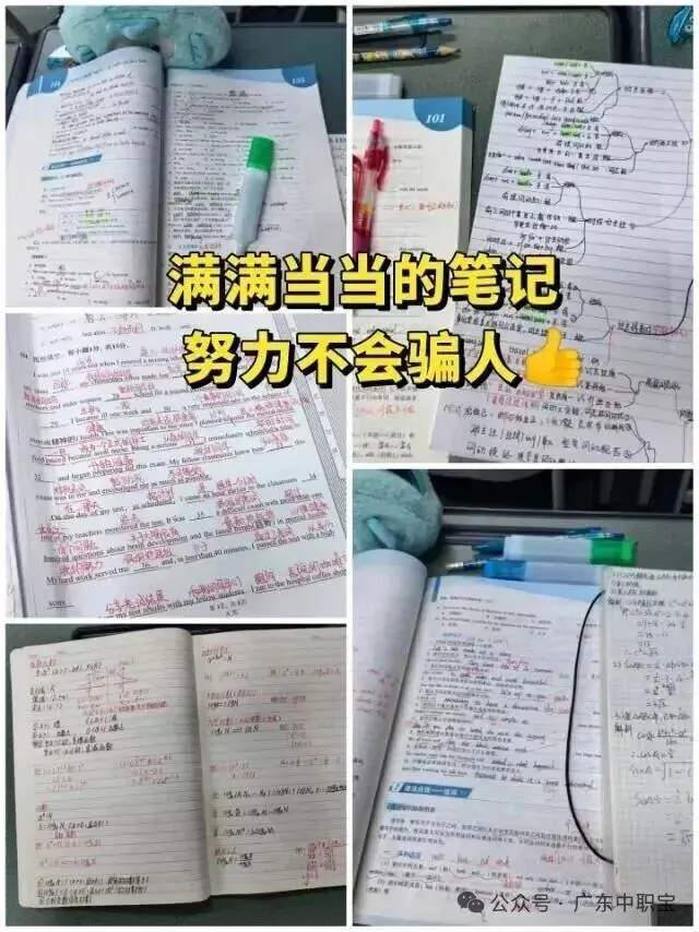 @2027届考生,免费领3+证书真题资料包!-第47张图片-四季读书网 @2027届考生,免费领3+证书真题资料包!-第47张图片-四季读书网