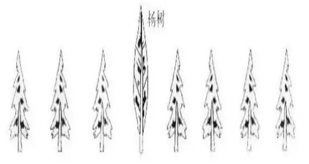 一年级数学:幼升小衔接试卷题精编5套-第7张图片-四季读书网
