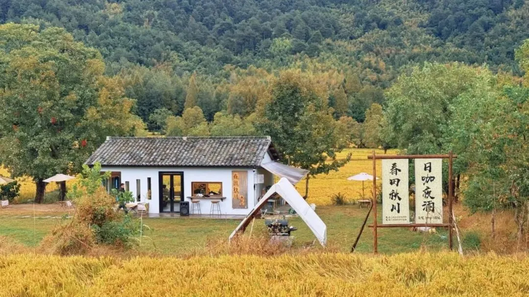 上海中考高分作文两篇|《如愿以偿之后》-第1张图片-四季读书网