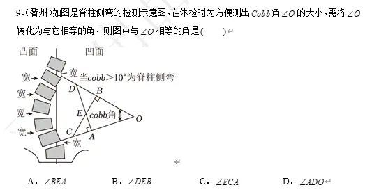 【中考数学】来挑战!每日死磕一道题(156)-第6张图片-四季读书网 【中考数学】来挑战!每日死磕一道题(156)-第6张图片-四季读书网