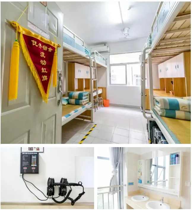 @初三考生注意!中考没上普高线怎么办,还有这3条路可以走!-第19张图片-四季读书网 @初三考生注意!中考没上普高线怎么办,还有这3条路可以走!-第19张图片-四季读书网