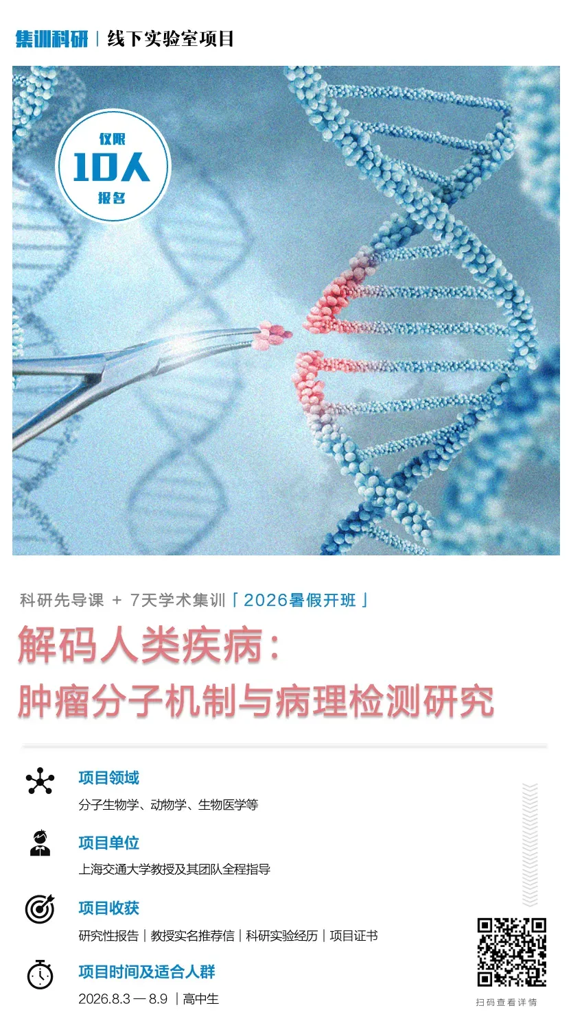 2026上海中考高分扎堆!710分才勉强进四校?数据告诉你:中考之后,真正拉开差距的到底是什么?-第19张图片-四季读书网