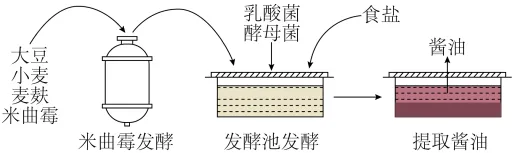 生物高考真题 | 2021年高考生物真题(全国乙卷)-第2张图片-四季读书网