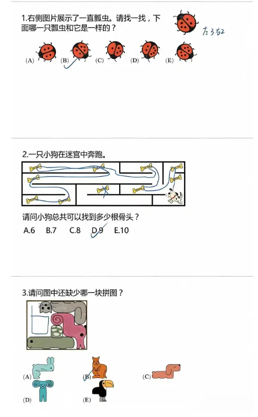 袋鼠数学竞赛真题(2013-2026),Level A-F全都有!-第4张图片-四季读书网 袋鼠数学竞赛真题(2013-2026),Level A-F全都有!-第4张图片-四季读书网