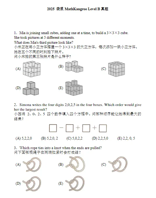 袋鼠数学竞赛真题(2013-2026),Level A-F全都有!-第8张图片-四季读书网 袋鼠数学竞赛真题(2013-2026),Level A-F全都有!-第8张图片-四季读书网