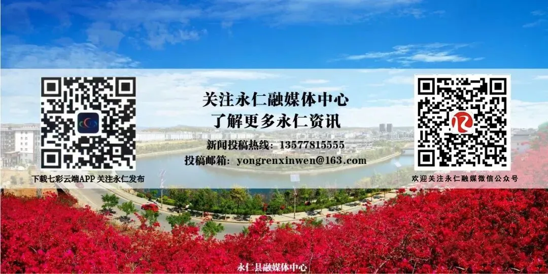 永仁永定镇:现场“解真题” 以精细治理赋能乡村振兴-第4张图片-四季读书网