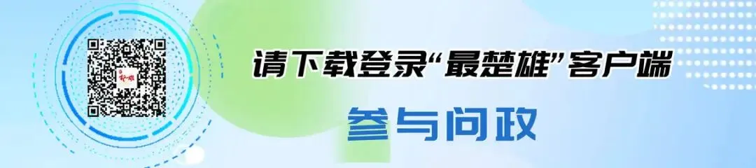 永仁永定镇:现场“解真题” 以精细治理赋能乡村振兴-第7张图片-四季读书网