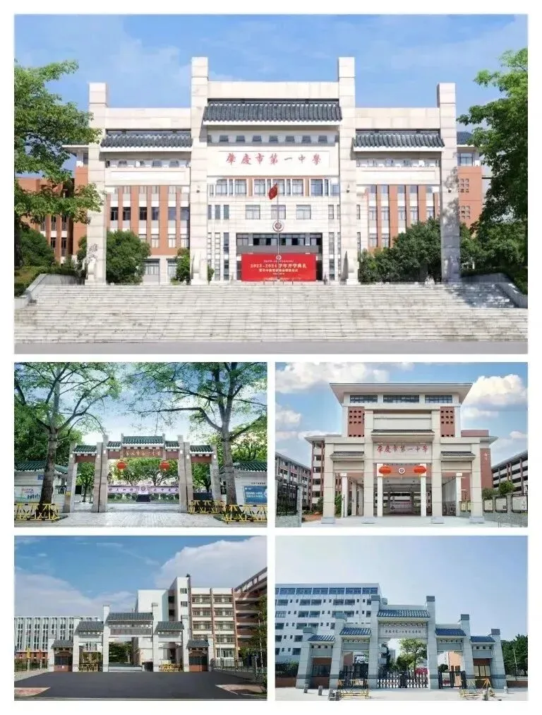 进步风采①|苏裔轩:从中考七百多名到高考六百多分-第3张图片-四季读书网