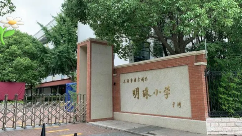 从小学五四学制,到中考高考,上海教育和全国不一样在哪?-第1张图片-四季读书网