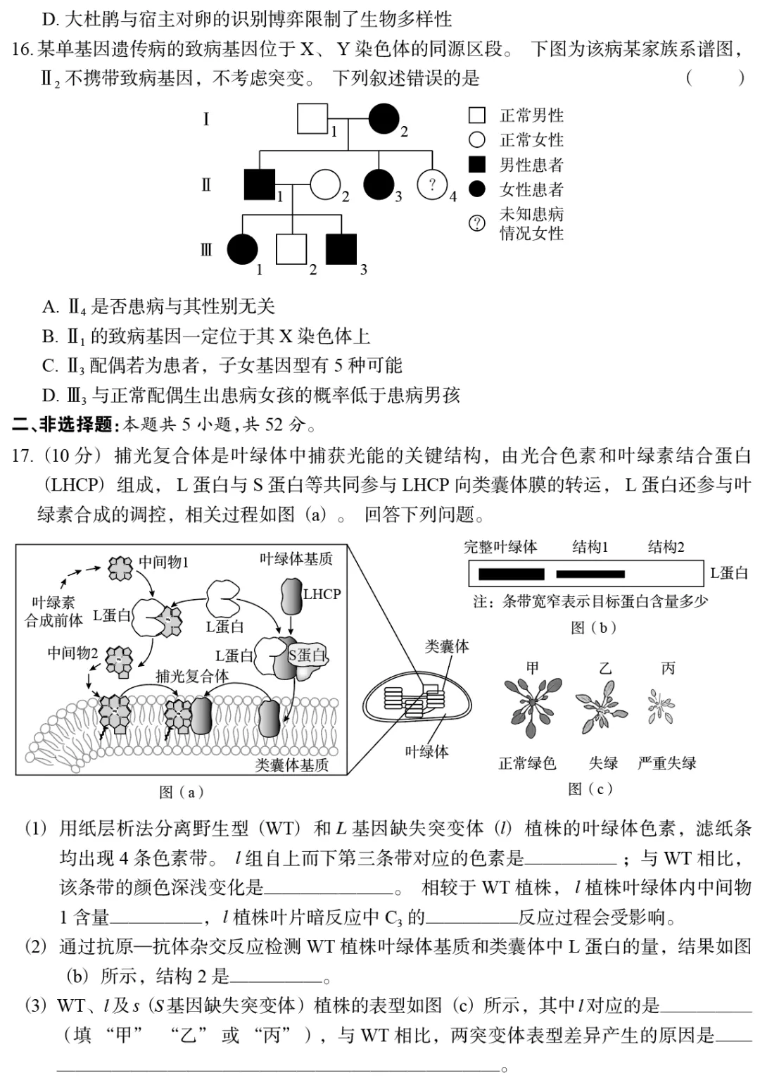 【真题】2026年陕晋宁青普通高中学业水平选择性考试-第5张图片-四季读书网